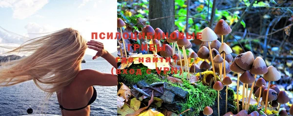 мескалин Волоколамск